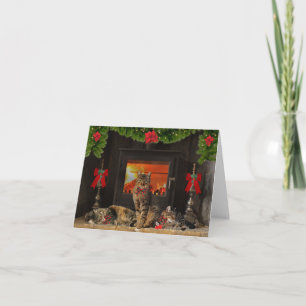 Karte "Happy Holiday Cats"