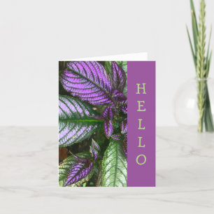 KARTE, "HELLO" PFLANZE/LILA UND GRÜNE/PERSISCHE SC KARTE