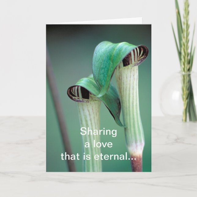 Karte/Jack-in-the-pulpit Feiertagskarte (Vorderseite)