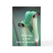 Karte/Jack-in-the-pulpit