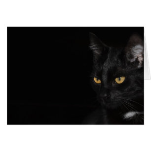 Karte - Katze - Träne