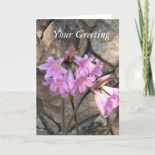 Karte - leer - Rosa Damen