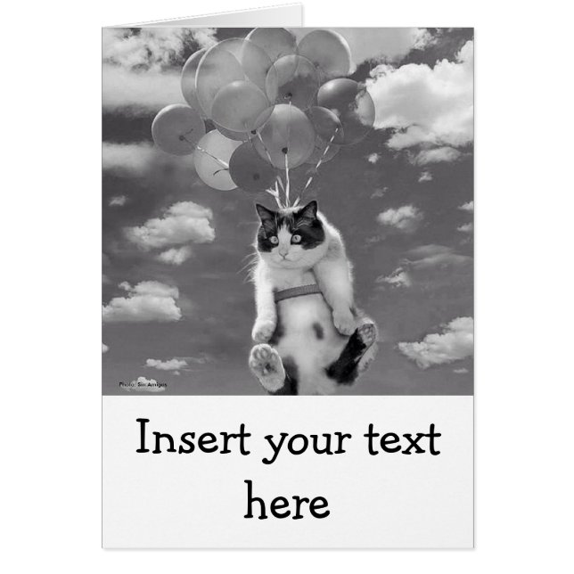 Karte: Lustiges Katzenfliegen mit Ballonen (Vorne)