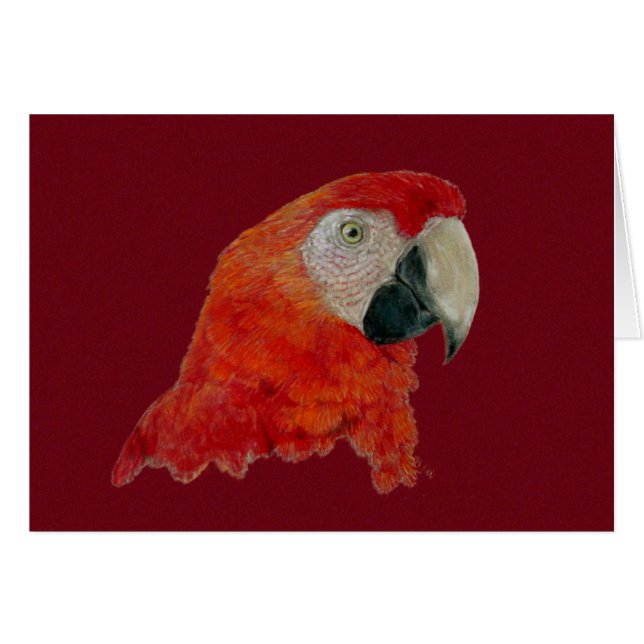 Karte - Macaw (Vorderseite (Horizontal))