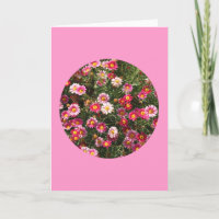Karte, "malte Gänseblümchen in einem Kreis" F-1