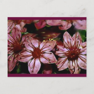 Karte mit gemalten roten Blumen