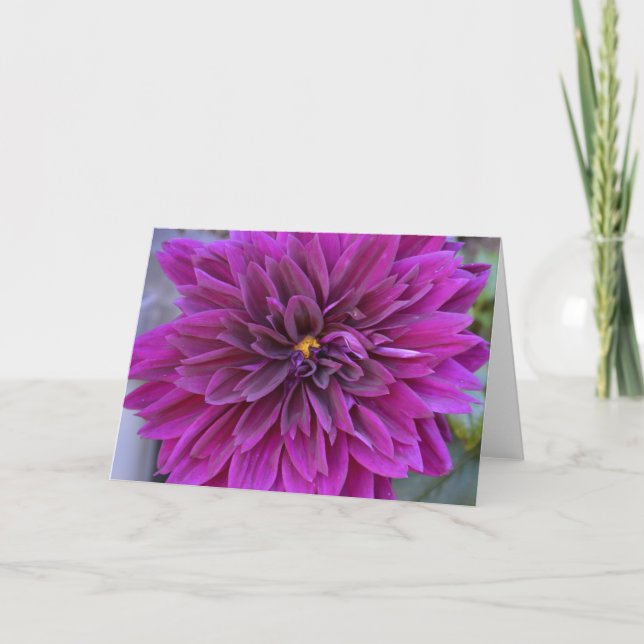 Karte mit lila Dahlie (Vorderseite)