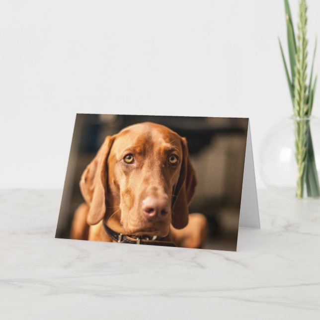 Karte mit Motiv "Magyar Vizsla" (Vorderseite)