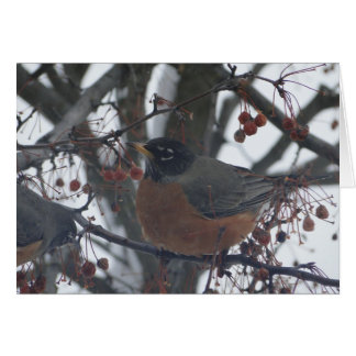 Karte mit Robin im Winter