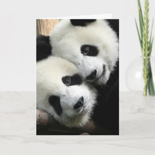 Karte Panda-Liebevalentines Tages