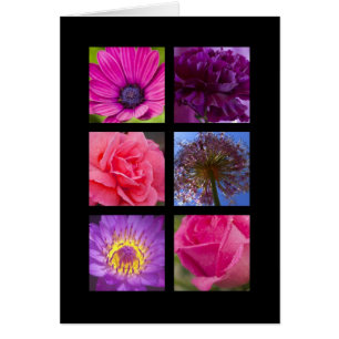 Karte - rosa lila Blumen