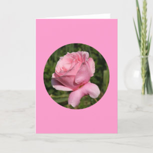 Karte, "Rosa Rose im Kreis", N-1 Karte