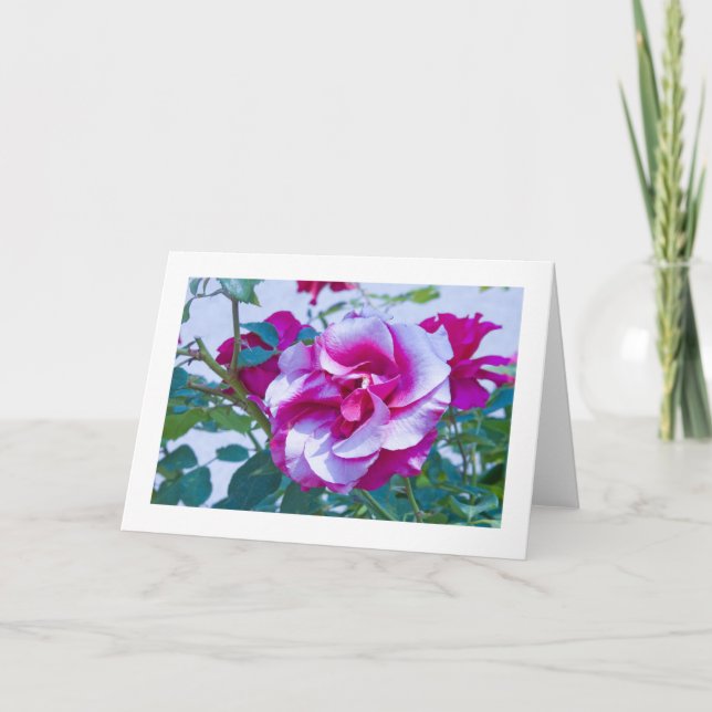 Karte, Rose # 232 Karte (Vorderseite)