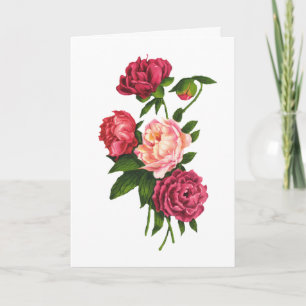 Karte Rosenvalentines Tages(großer Druck)