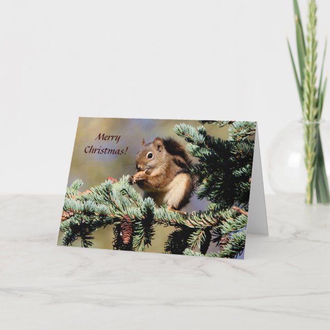 Karte / Rotes Eichhörnchen / Weihnachten (Vorderseite)