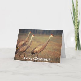 Karte / Sandhügelkrane / Weihnachten