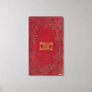 Karte von Illinois 2 Leinwanddruck