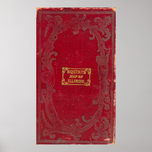 Karte von Illinois Poster