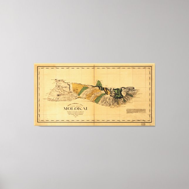 Karte von Molokai, Hawaiianische Insel (1897) Leinwanddruck (Vorderseite)
