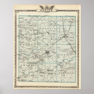 Karte von Saline County Poster
