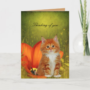 Karte Weiße Katze Kätzchen Blumen "Ich denke an di