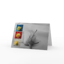 Karte-Weiße Rose des Valentines Tages