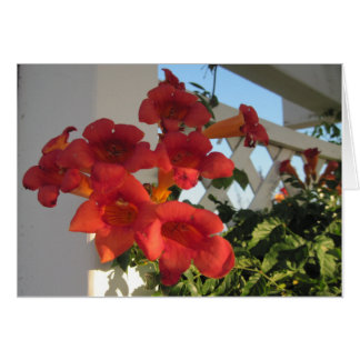 Karte zum Komfort einer geliebten Person an einem