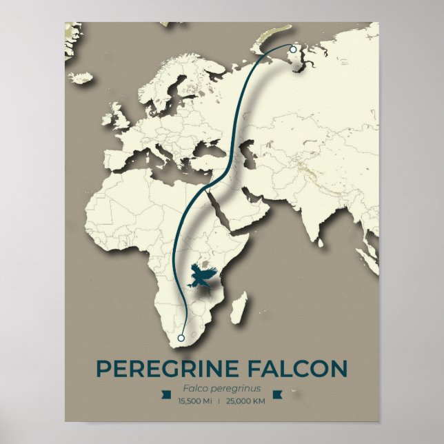 Karte zur Migration von Peregrine Falcon - Minimal Poster (Vorne)