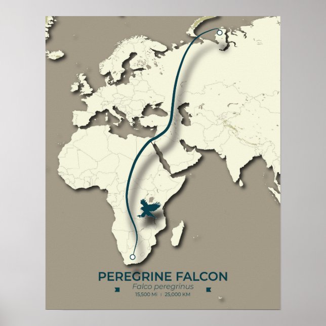Karte zur Migration von Peregrine Falcon - Minimal Poster (Vorne)