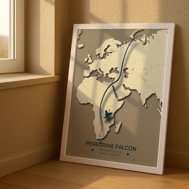 Karte zur Migration von Peregrine Falcon - Minimal Poster (Von Creator hochgeladen)