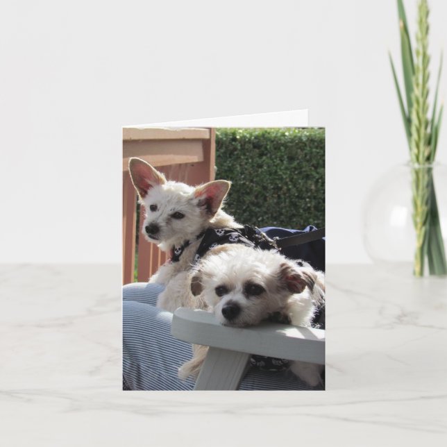 Karte - Zwei Pals (Vorderseite)