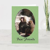 Karten für die Freundschaft zwischen besten Affenf
