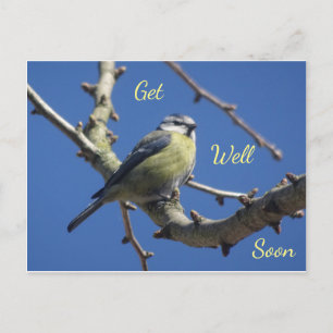 Karten für einen kleinen Vogel mit blauem Himmel -