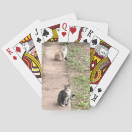 Karten für Katzen Spielkarten