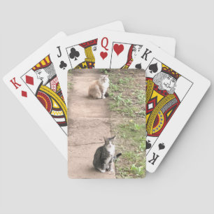Karten für Katzen Spielkarten