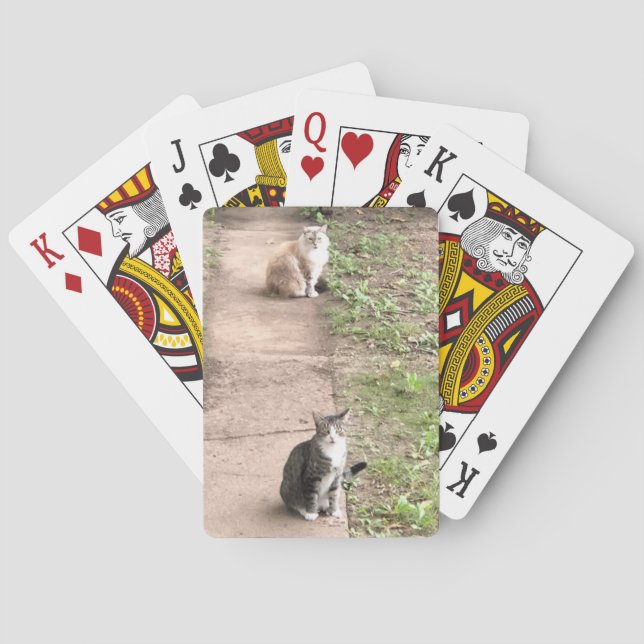 Karten für Katzen Spielkarten (Rückseite)