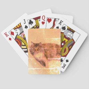 Karten für Katzen Spielkarten