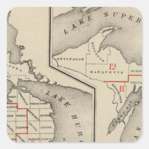 Karten mit den Wahlkreisen des Kongresses Quadratischer Aufkleber