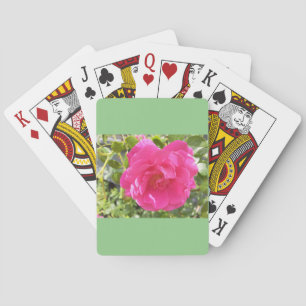 Karten mit einer rosa Rose spielen. Spielkarten