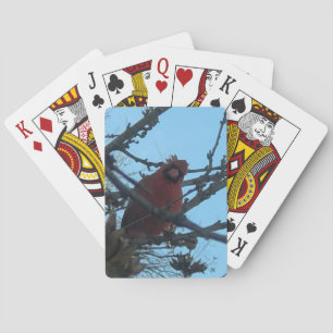 Karten mit Kardinalen Spielkarten
