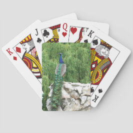 Karten Pfau im Garten spielen Spielkarten