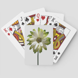Karten spielen spielkarten