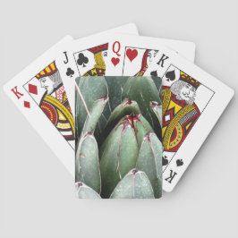 Karten spielen spielkarten