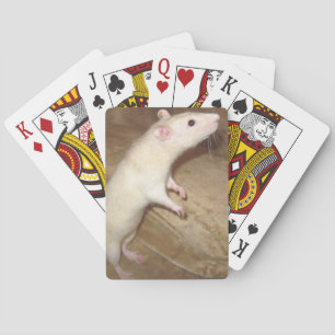 KARTEN SPIELKARTEN