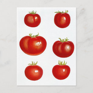 Kartendesign für Rezepte zur Weitergabe von Rezept Postkarte