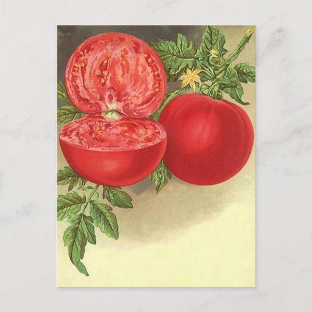 Kartendesign für Rezepte zur Weitergabe von Rezept Postkarte (Vorderseite)