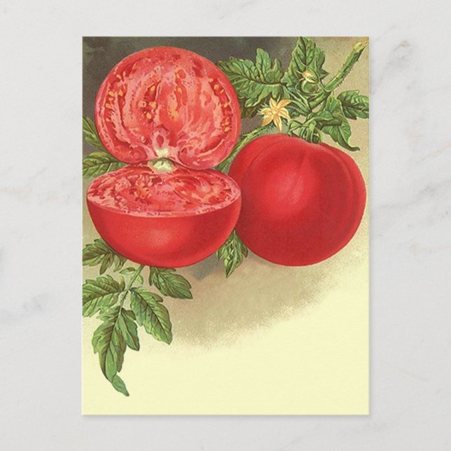 Kartendesign für Rezepte zur Weitergabe von Rezept Postkarte (Vorderseite)