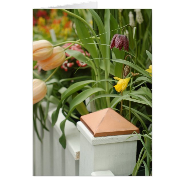 Kartentor der Blume (Vorne)