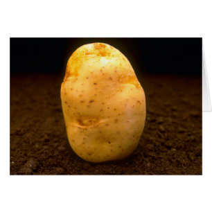 Kartoffel auf Schmutz