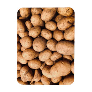 Kartoffel Magnet